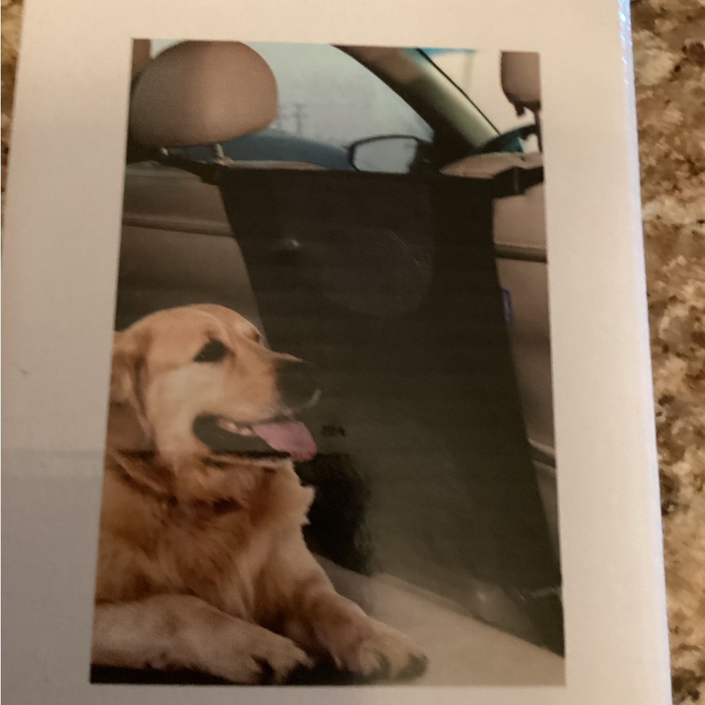 Pet cargo liner